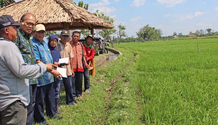 Harga Beras Indonesia Lebih Murah dari Negara Lain, Ini Faktanya ...